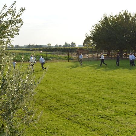 Agriturismo Al Casale Lonigo Ngoại thất bức ảnh
